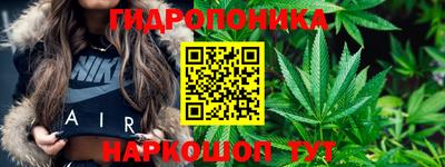 индика Малоярославец